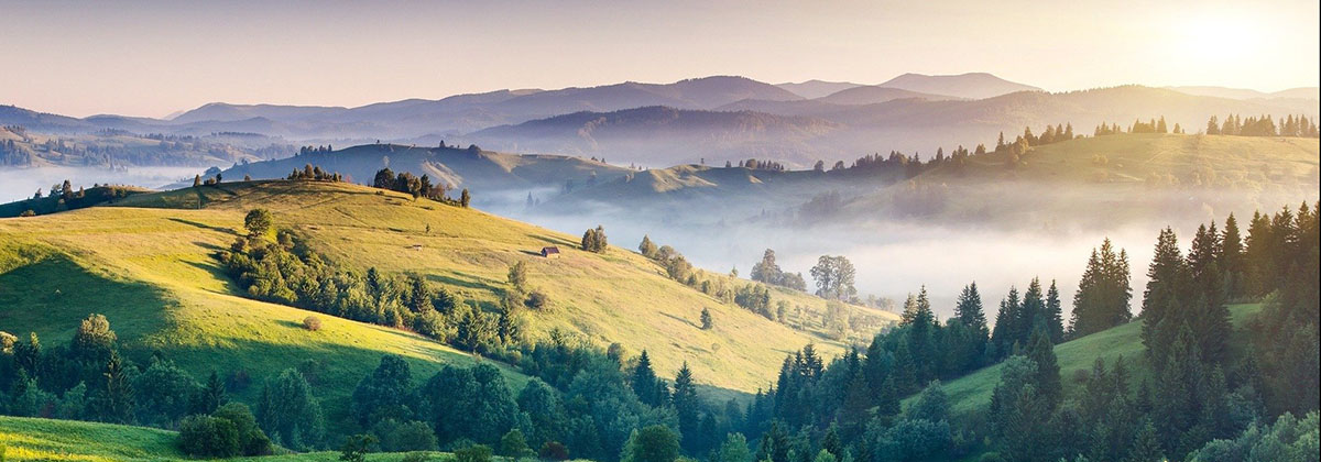 paysage